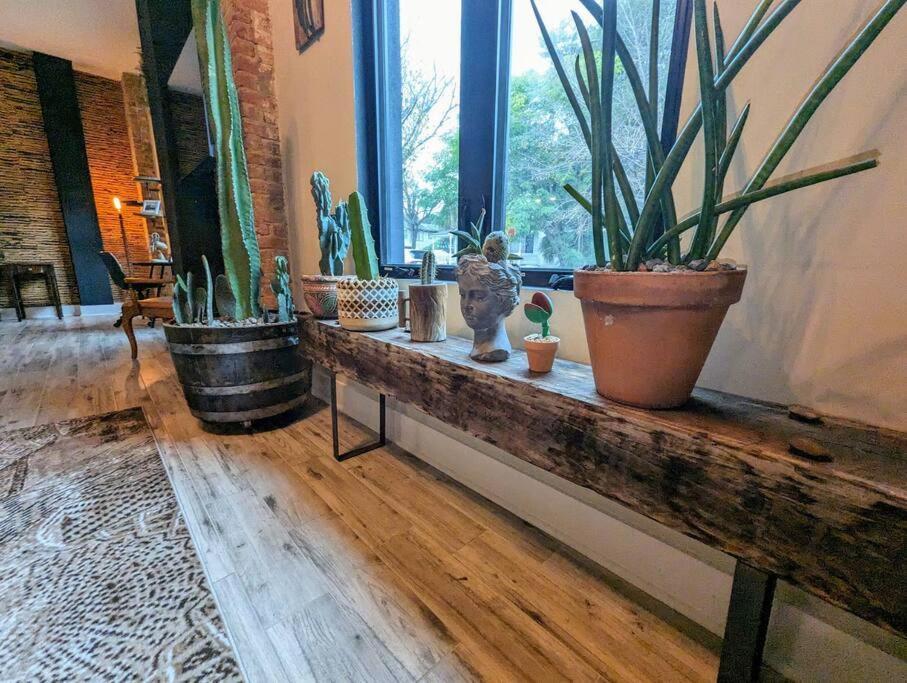 Appartement Cozy Af Steel-rose Tampa