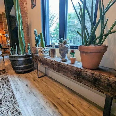 Cozy Af Steel-Rose Studio Tampa Extérieur photo
