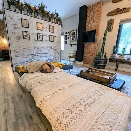 Cozy Af Steel-Rose Studio Tampa Extérieur photo